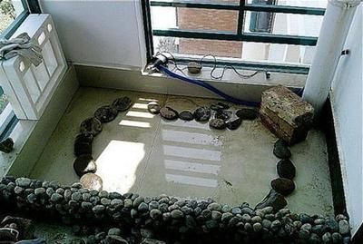 森森的變頻水泵怎么樣（森森變頻水泵怎么樣安裝的）