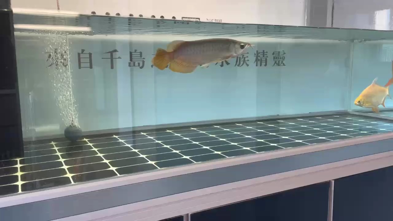 到家1個(gè)月打卡