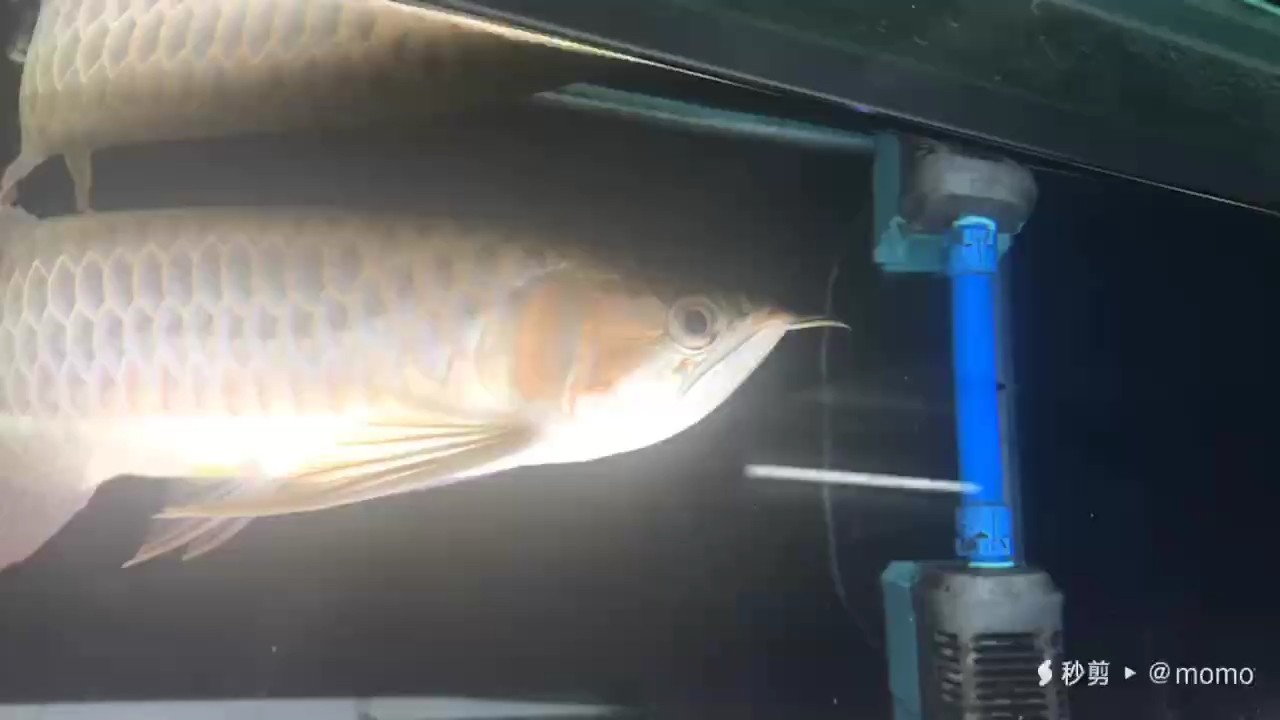 一個一個上燈了，天氣也冷了
