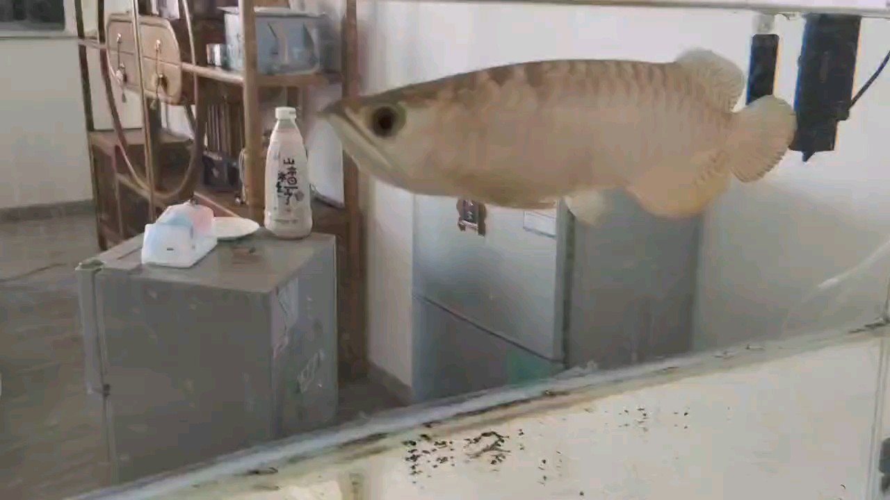簽到 長大了