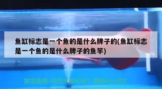 江門(mén)洗浴魚(yú)缸出租信息網(wǎng)站（江門(mén)洗浴魚(yú)缸出租信息網(wǎng)站電話(huà)）
