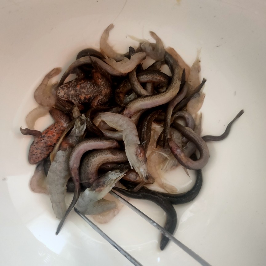 早餐吃好心情好