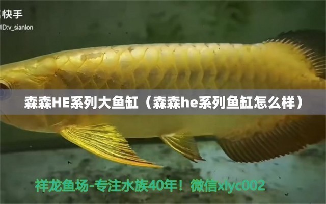 1.8米的魚缸養幾條錦鯉最好 1.8米的魚缸養幾條錦鯉最好 觀賞魚百科