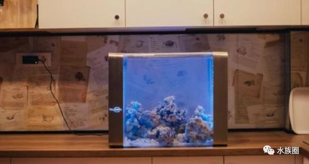 嫩江縣七彩水族館（嫩江縣七彩水族館電話）