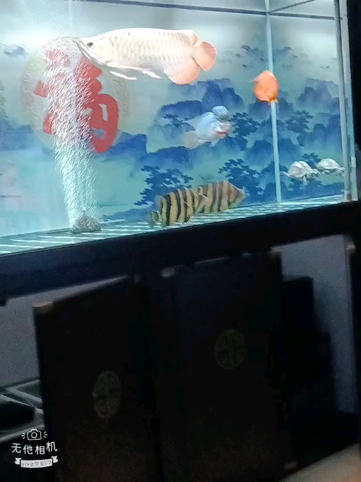 換水看魚