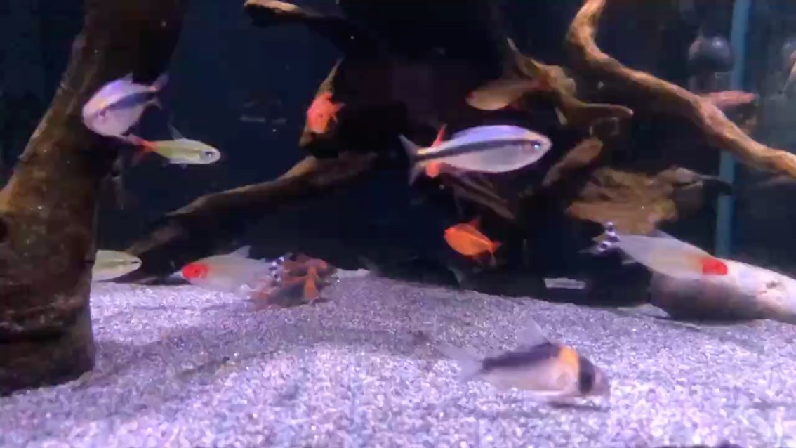 風浪