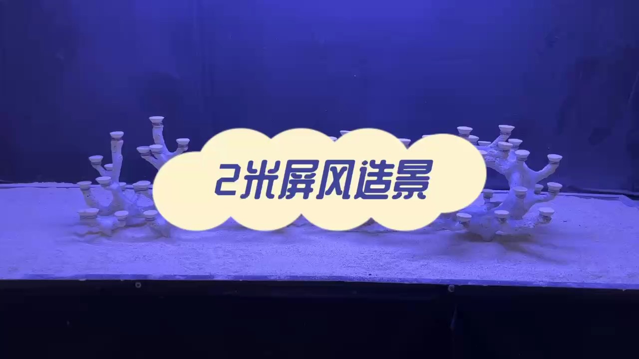 2米海缸造景，珊瑚缸造景