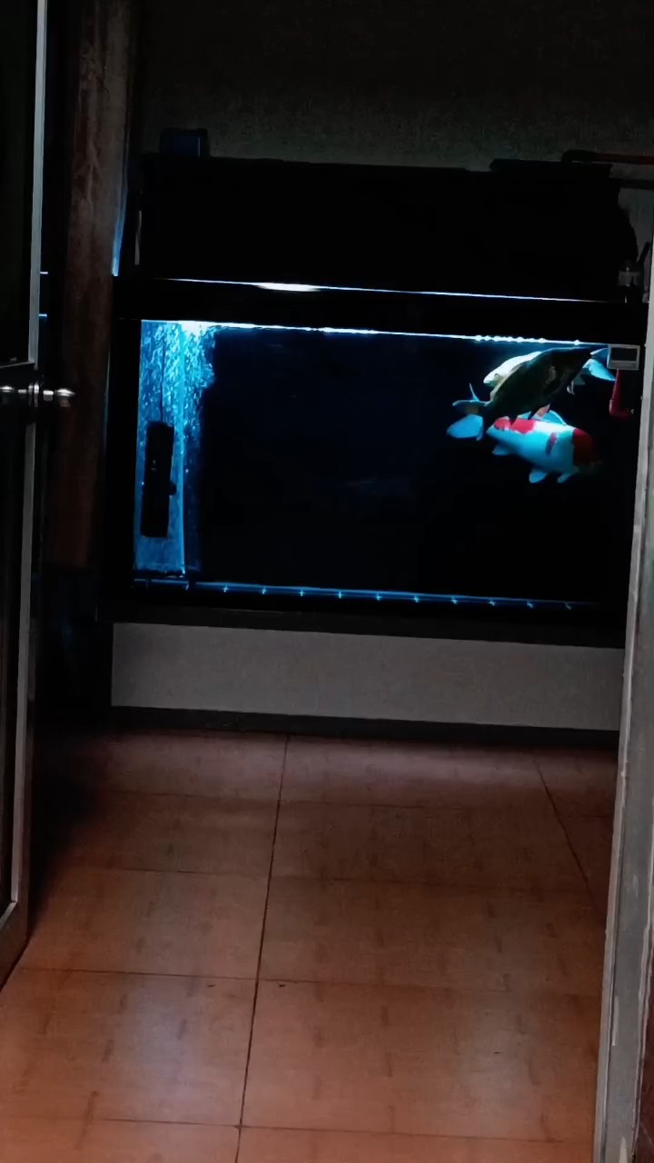 換了個氧氣盤看著還行