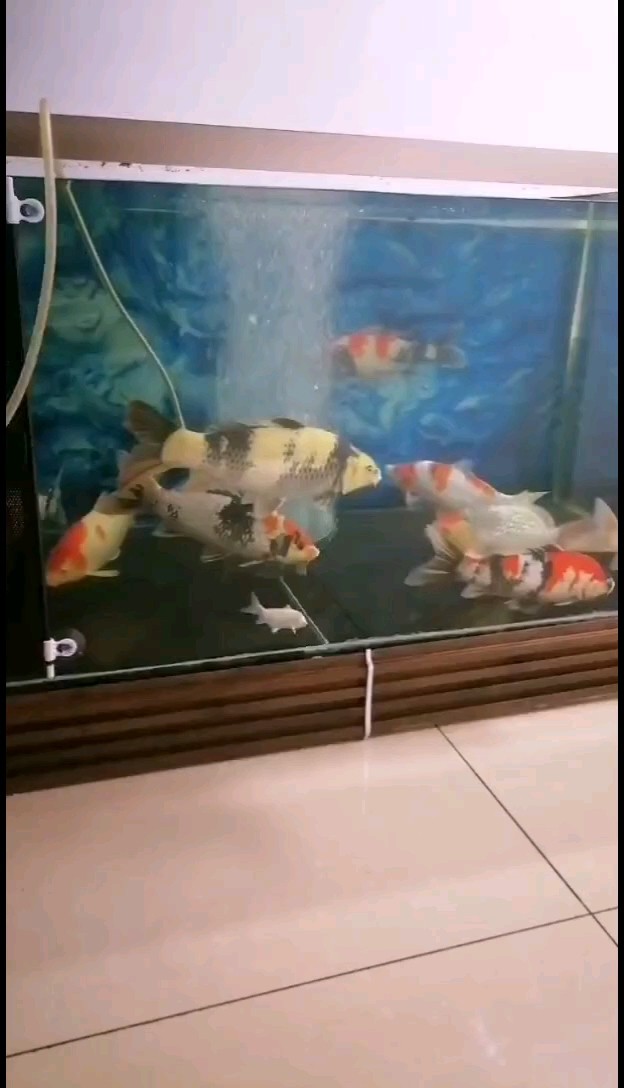 哇！