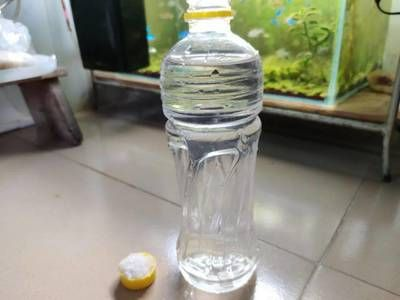 養紅龍魚用什么顏色的燈管：養紅龍魚時選擇合適的燈管顏色對于紅龍魚的發色和健康至關重要