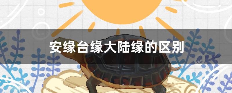 安緣臺(tái)緣大陸緣的區(qū)別 安緣臺(tái)緣大陸緣的區(qū)別 魟魚百科