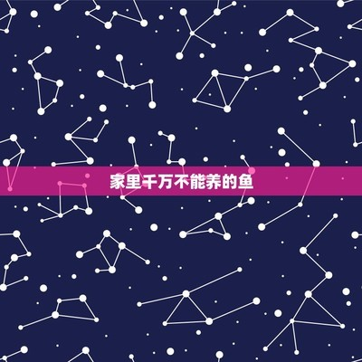 養金龍魚10大忌