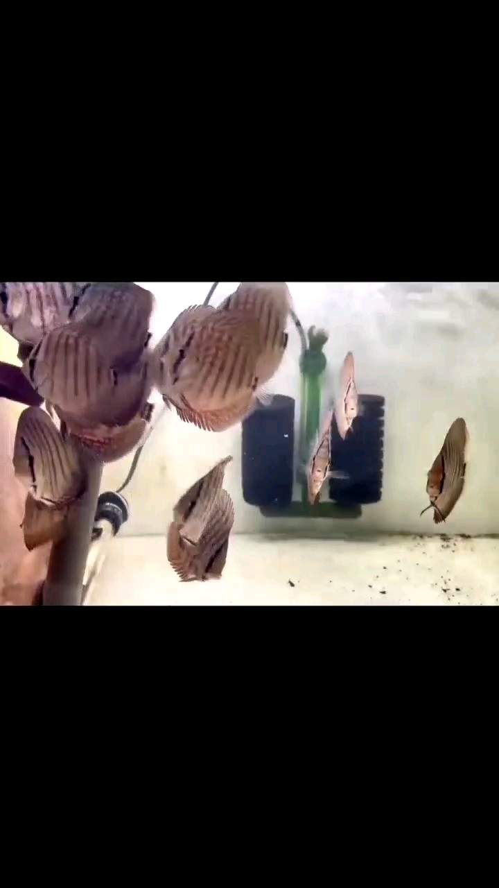 養工才是王道