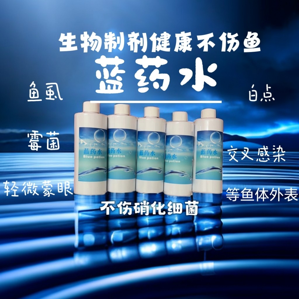 錦鯉腸炎 +外傷+水霉