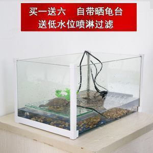 紅龍魚魚缸水位多少比較好釣：紅龍魚魚缸水位高度多少合適龍魚魚缸水位高度多少合適