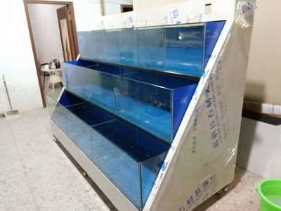 超市魚缸養(yǎng)魚為什么老是會(huì)死：超市魚缸養(yǎng)魚的注意事項(xiàng)