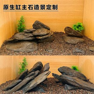 扁平魚(yú)缸造景：扁平魚(yú)缸造景設(shè)計(jì)