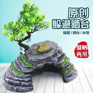 科學(xué)界對“龍魚神龜”有何看法，湖光巖未解之謎 科學(xué)界對“龍魚神龜”有何看法，湖光巖未解之謎 龍魚百科 第1張