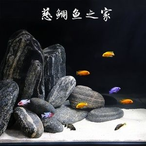 扁平魚(yú)缸造景：扁平魚(yú)缸造景設(shè)計(jì)