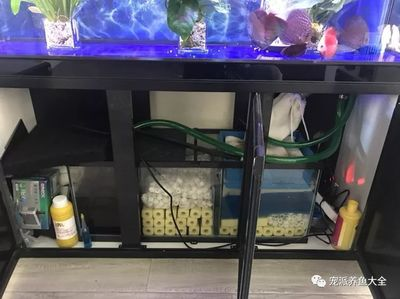 魚缸過濾器選購指南:自制魚缸過濾器魚缸上置過濾器對于養魚愛好者的必備知識 森森智能插排aq500怎么復位(森森智能插排aq500) 森森魚缸 森森智能插排aq500怎么復位(森森智能插排aq500) 森森智能插排aq500怎么復位(森森智能插排aq500) 森森魚缸