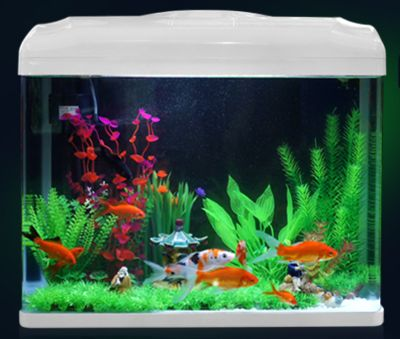 大魚魚缸什么牌子的好
