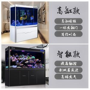 黑金魟魚專用飼料營養(yǎng)分析,黑金魟魚專用飼料的營養(yǎng)成分對于健康生長至關重要 魟魚百科 第5張 黑金魟魚專用飼料營養(yǎng)分析,黑金魟魚專用飼料的營養(yǎng)成分對于健康生長至關重要 黑金魟魚專用飼料營養(yǎng)分析,黑金魟魚專用飼料的營養(yǎng)成分對于健康生長至關重要 魟魚百科 第5張