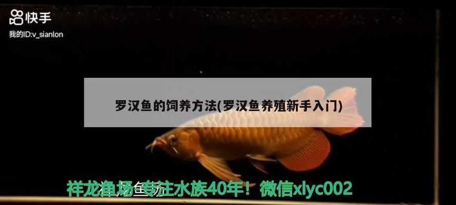紅龍魚飼料能喂羅漢魚嗎有毒嗎：紅龍魚飼料和羅漢魚飼料成分分析羅漢魚營養需求詳解