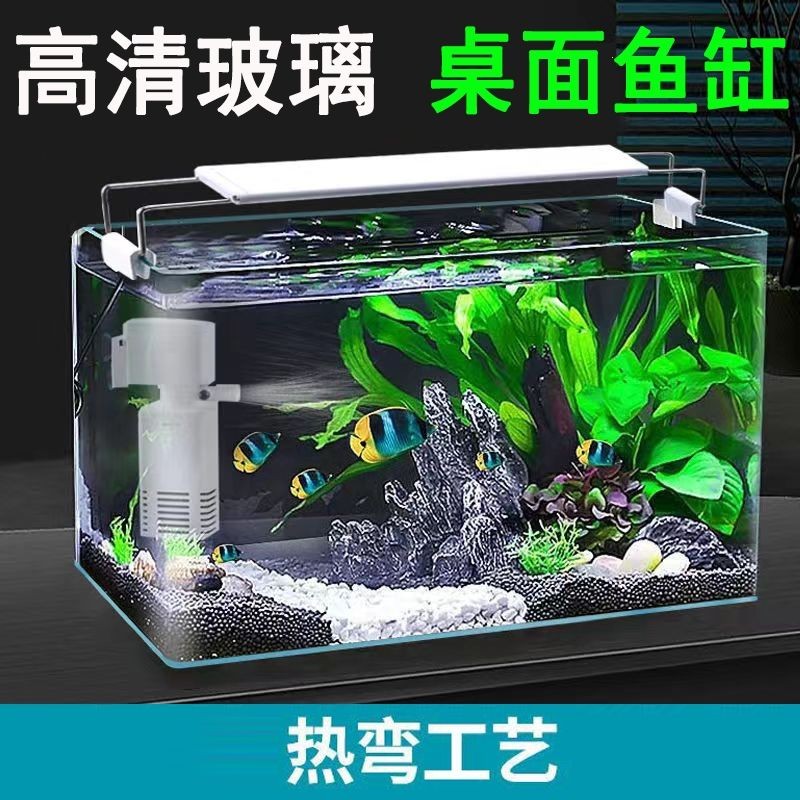 超白熱彎魚缸還是直角魚缸好?:超白熱彎魚缸和直角魚缸各有優缺點 魚缸百科 第3張 超白熱彎魚缸還是直角魚缸好?:超白熱彎魚缸和直角魚缸各有優缺點 超白熱彎魚缸還是直角魚缸好?:超白熱彎魚缸和直角魚缸各有優缺點 魚缸百科 第3張