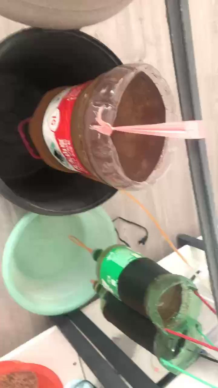鸚鵡魚和銀龍魚混養怎樣喂食 收蝦 龍魚論壇 收蝦 收蝦 龍魚論壇