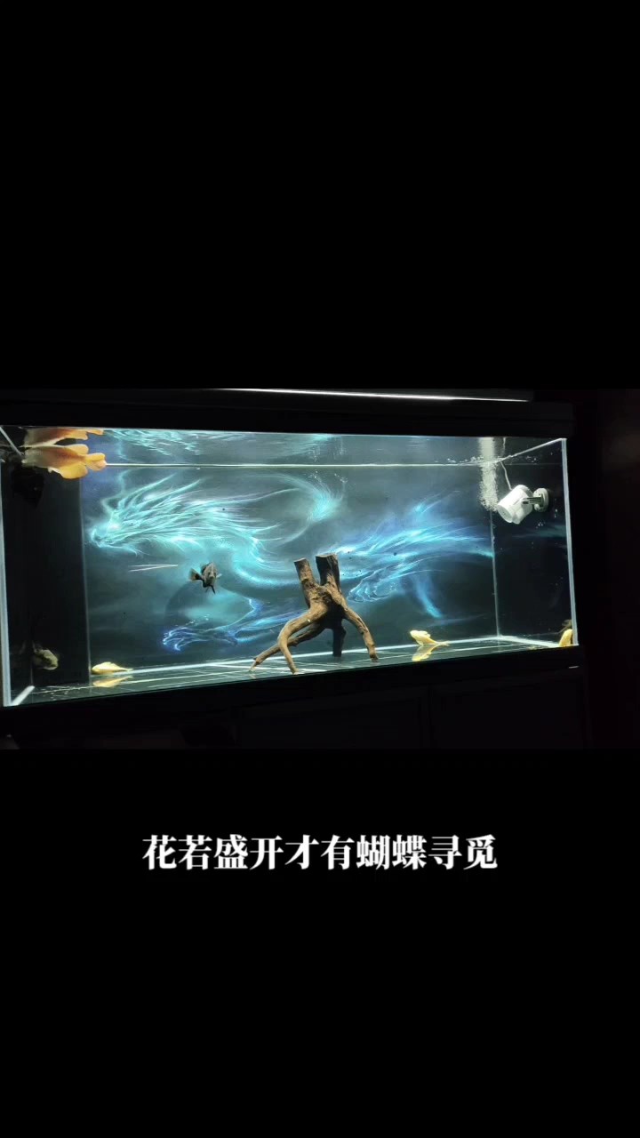 堅(jiān)持[woquan]歐耶[woquan]@