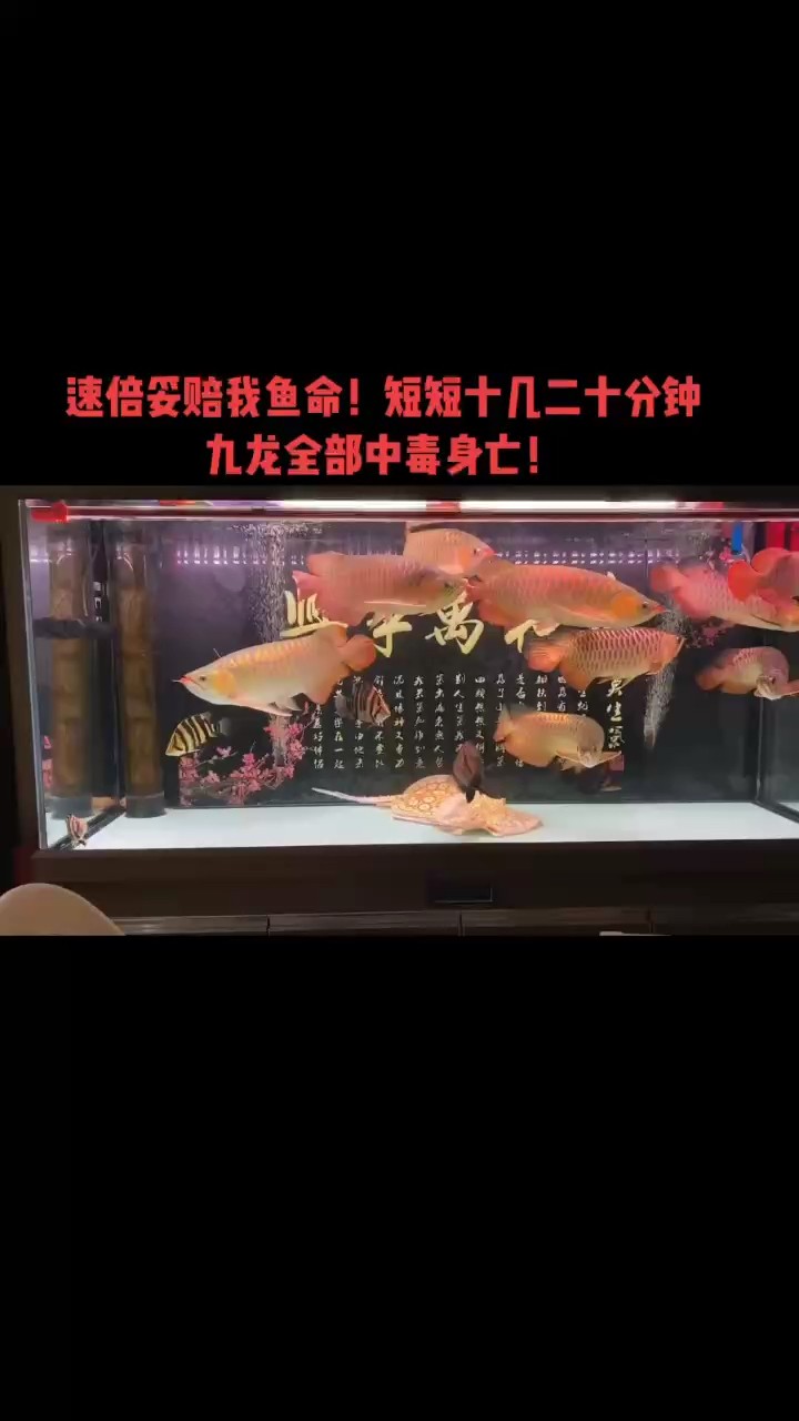 維權事件