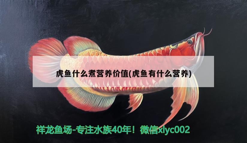 虎魚什么煮營養(yǎng)價值(虎魚有什么營養(yǎng))