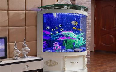 不需要換水的生態魚缸有哪些：生態魚缸的養護與注意事項