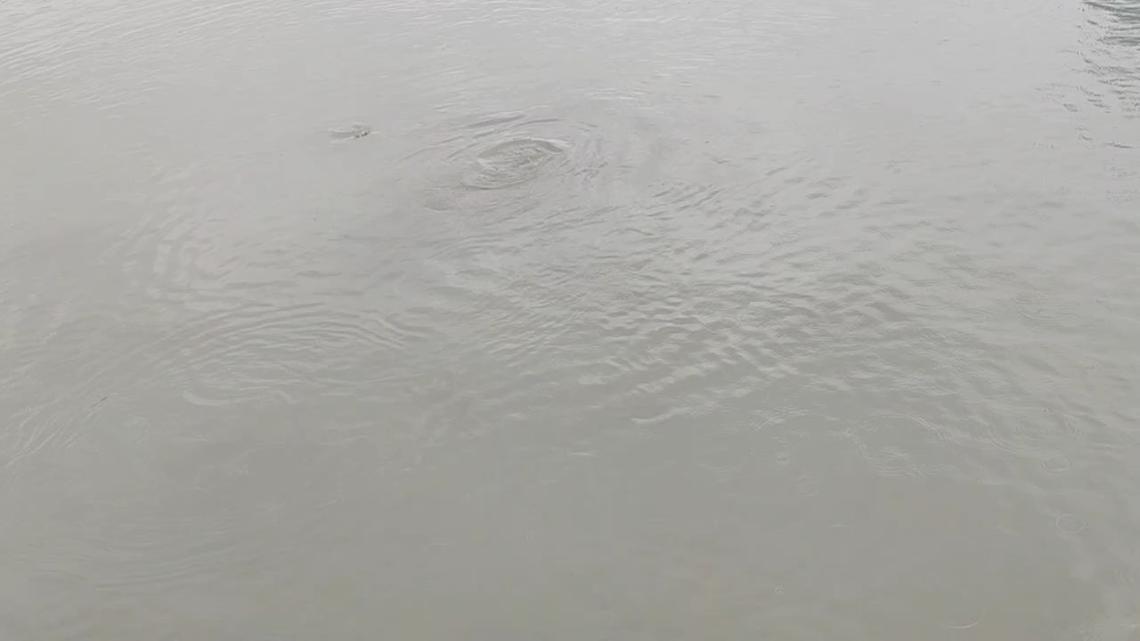 風調(diào)雨順