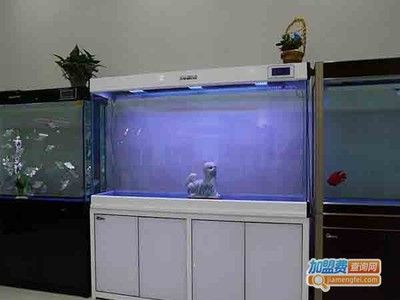 名亨魚缸和森森魚缸對比：名亨魚缸和森森魚缸哪個好