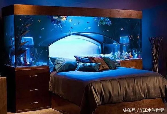 森森魚缸型號及價格一米(森森魚缸型號及價格一米五)