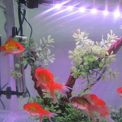 阜陽魚缸維修改造電話號碼查詢