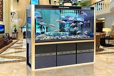 大型魚缸客廳：客廳大型魚缸尺寸選擇指南 大型魚缸客廳：客廳大型魚缸尺寸選擇指南 魚缸百科 第1張