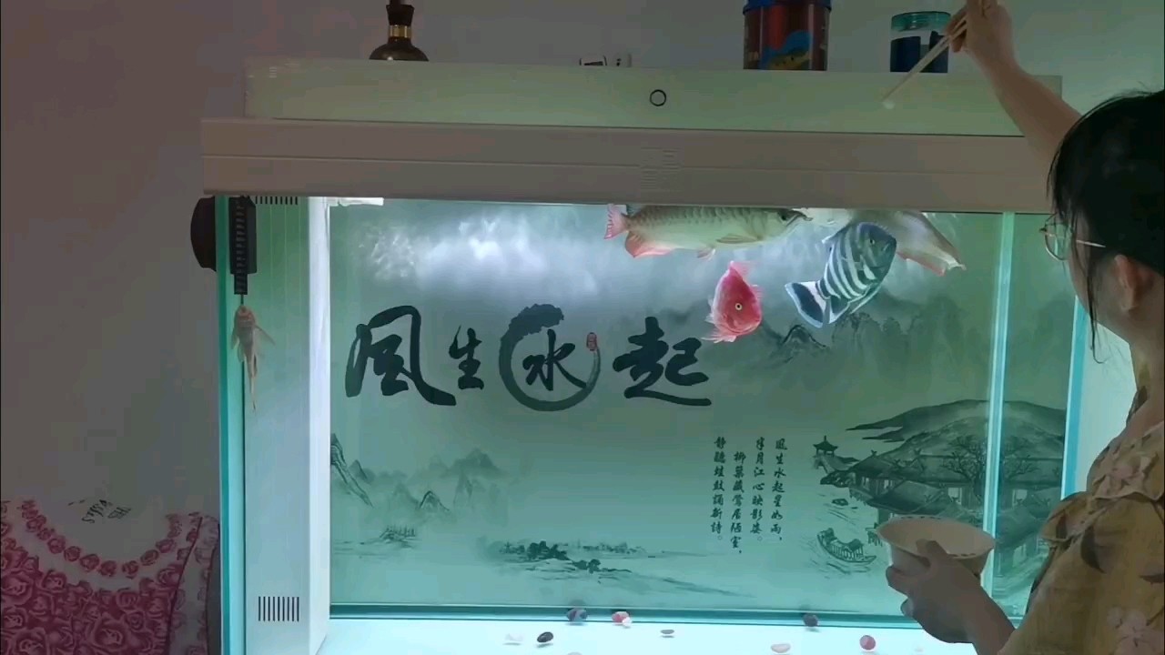 龍哥到家第二個月，今天有我老婆投食