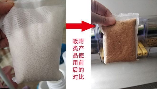 養觀賞魚用礦泉水可以嗎（養觀賞魚用礦泉水可以嗎視頻）