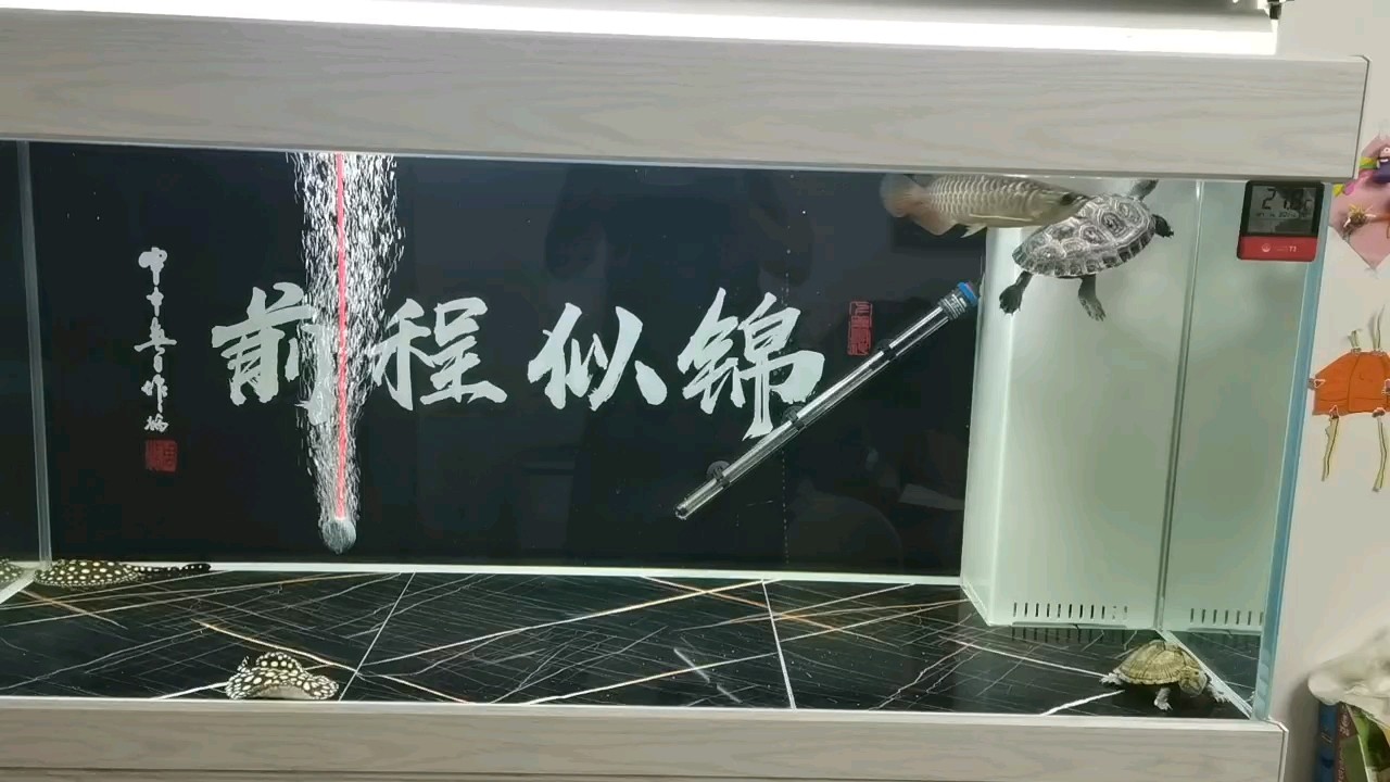 小家伙膽小，不能擦缸，臟一段時間吧