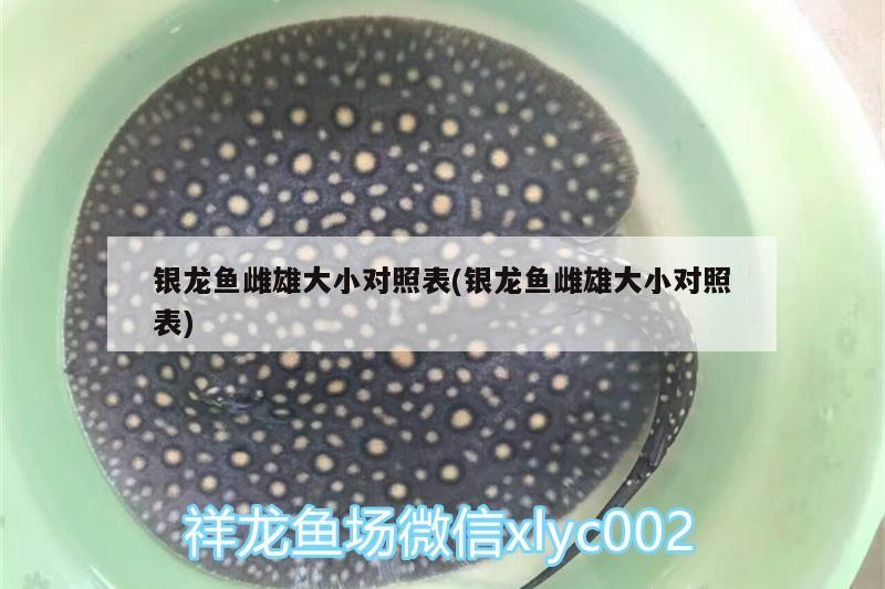 銀龍魚雌雄大小對照表(銀龍魚雌雄大小對照表) 銀龍魚雌雄大小對照表(銀龍魚雌雄大小對照表) 銀龍魚百科