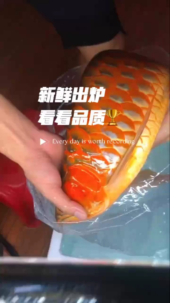漁場新到的靚仔