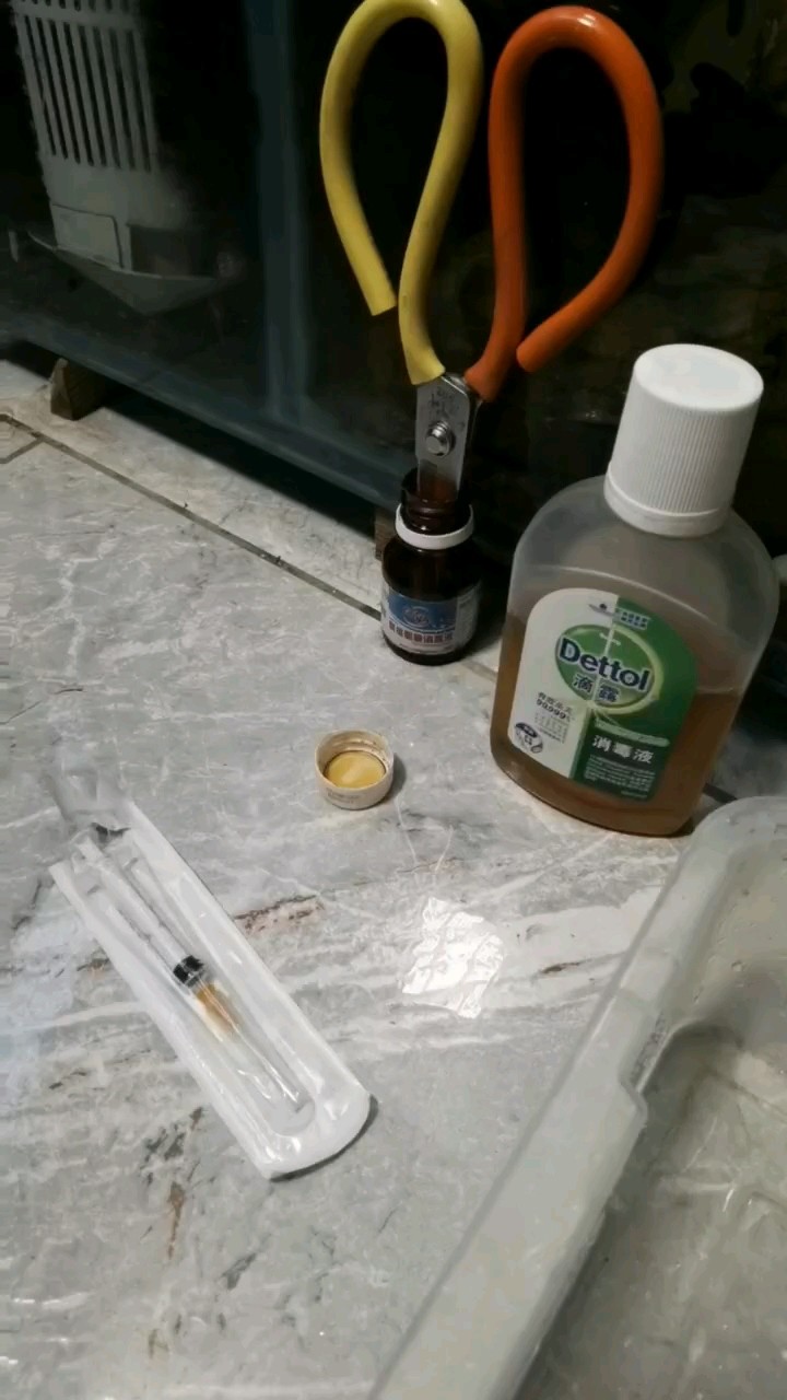 龍魚翻腮 龍魚翻腮 龍魚論壇