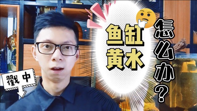 長沙縣暮云鎮旺府龍水族館（長沙縣暮云鎮旺府龍水族館電話）