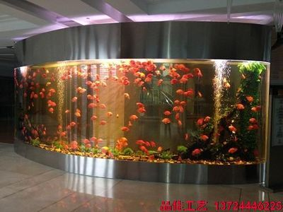 超大型魚(yú)缸用什么玻璃比較好：超大型魚(yú)缸玻璃厚度選擇指南