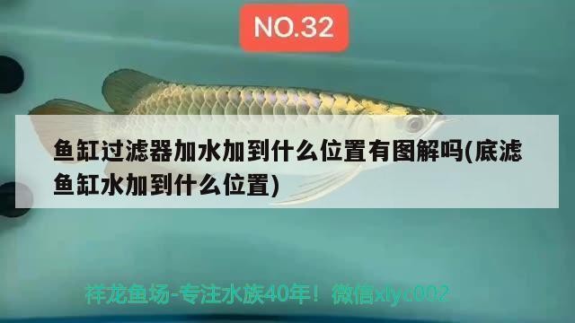 綏化二手魚(yú)缸市場(chǎng)在哪兒呀（綏化二手魚(yú)缸市場(chǎng)在哪兒呀多少錢(qián)）