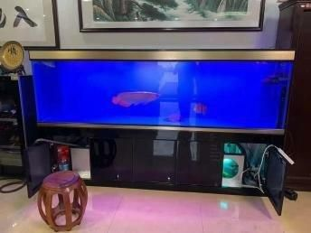 大洋水族魚缸安裝圖紙：大洋水族魚缸安裝步驟和注意事項和注意事項 大洋水族魚缸安裝圖紙：大洋水族魚缸安裝步驟和注意事項和注意事項 魚缸百科 第4張