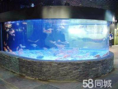 大型海水魚缸：關于大型海水魚缸的一些關鍵信息