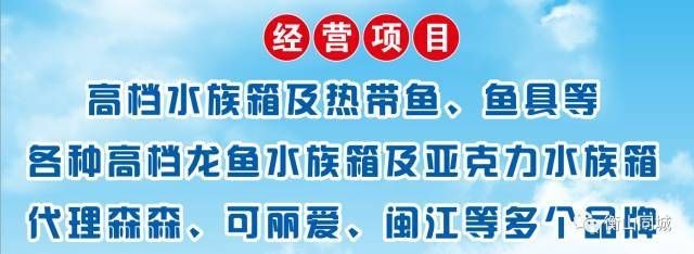 閩江水族和森森：閩江水族和森森各有其優(yōu)勢(shì)和劣勢(shì) 閩江水族和森森：閩江水族和森森各有其優(yōu)勢(shì)和劣勢(shì) 森森魚缸